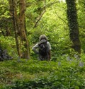 [Picture of me escaping into a forest]